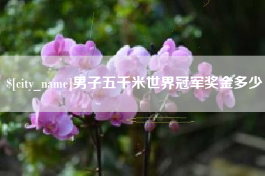 钟祥男子五千米世界冠军奖金多少