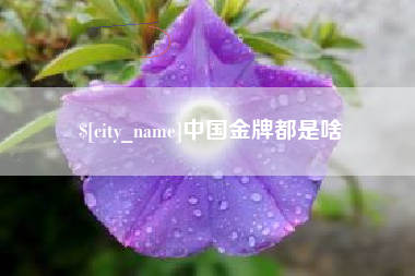 钟祥中国金牌都是啥