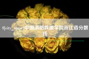钟祥中国消防救援学院浙江省分数线