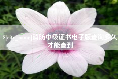 钟祥消防中级证书电子版查询多久才能查到
