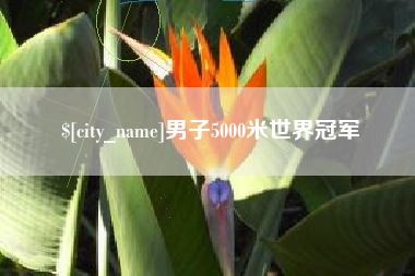 钟祥男子5000米世界冠军