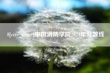钟祥中国消防学院2024年分数线