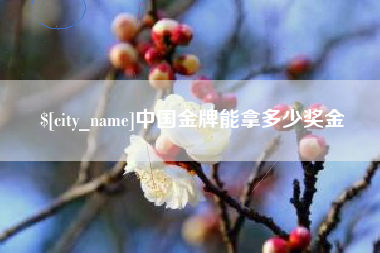 钟祥中国金牌能拿多少奖金