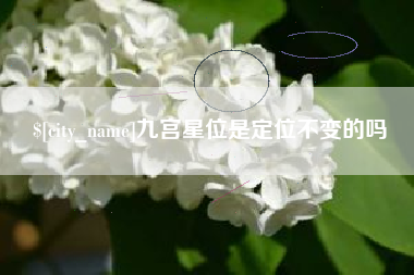 钟祥九宫星位是定位不变的吗
