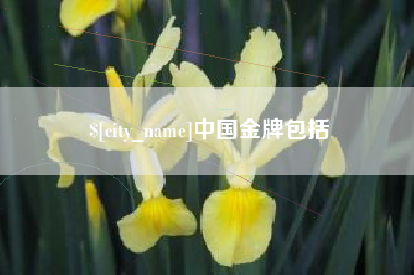 钟祥中国金牌包括