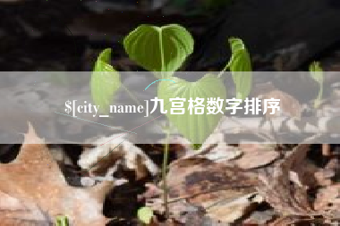 钟祥九宫格数字排序