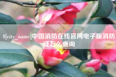 钟祥中国消防在线官网电子版消防证怎么查询