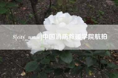 钟祥中国消防救援学院航拍