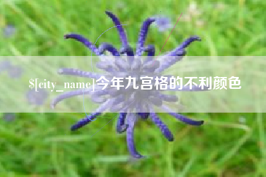 钟祥今年九宫格的不利颜色