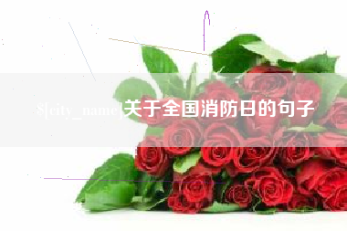 钟祥关于全国消防日的句子