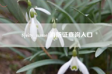 钟祥消防证查询入口