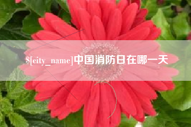 钟祥中国消防日在哪一天
