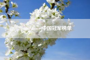 钟祥中国冠军榜单