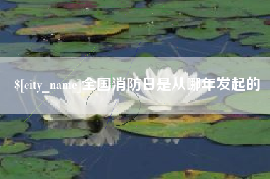钟祥全国消防日是从哪年发起的