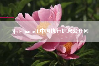 钟祥1.中国执行信息公开网
