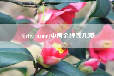 钟祥中国金牌哪几项