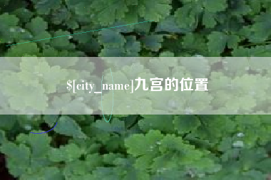 钟祥九宫的位置