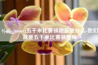 钟祥五千米比赛领跑员是什么-他们就是五千米比赛领跑员