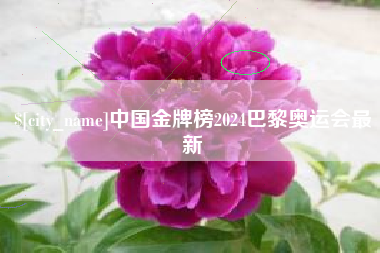 钟祥中国金牌榜2024巴黎奥运会最新