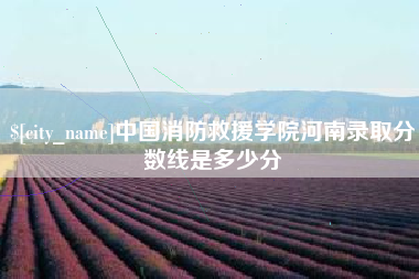 钟祥中国消防救援学院河南录取分数线是多少分