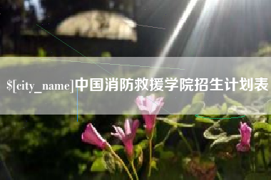 钟祥中国消防救援学院招生计划表