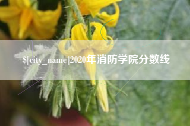 钟祥2020年消防学院分数线