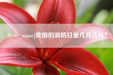 钟祥我国的消防日是几月几号？