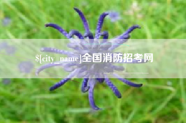 钟祥全国消防招考网