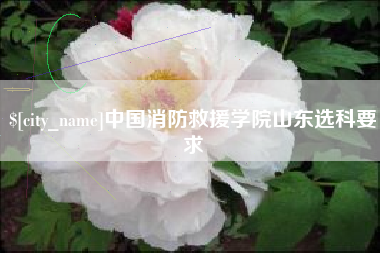 钟祥中国消防救援学院山东选科要求