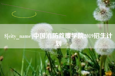钟祥中国消防救援学院2019招生计划