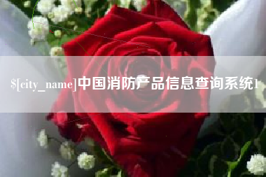 钟祥中国消防产品信息查询系统1