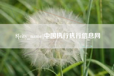 钟祥中国执行执行信息网