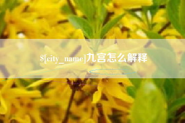 钟祥九宫怎么解释
