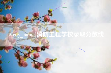 钟祥消防工程学校录取分数线