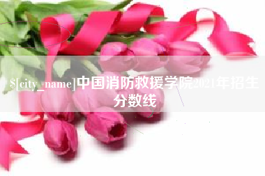 钟祥中国消防救援学院2021年招生分数线