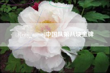 钟祥中国队第八块金牌