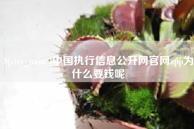 钟祥中国执行信息公开网官网app为什么要钱呢