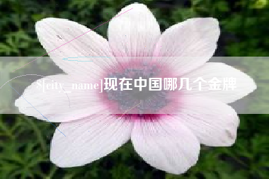 钟祥现在中国哪几个金牌
