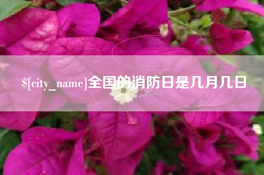 钟祥全国的消防日是几月几日