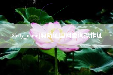 钟祥消防证国网查询操作证