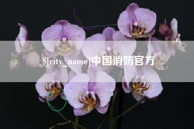 钟祥中国消防官方