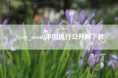钟祥中国执行公开网下载