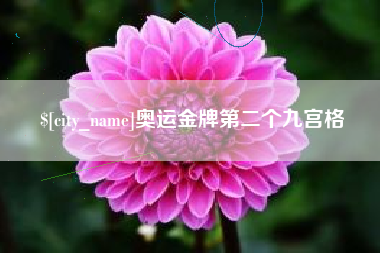 钟祥奥运金牌第二个九宫格