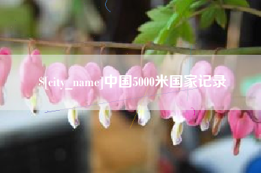 钟祥中国5000米国家记录
