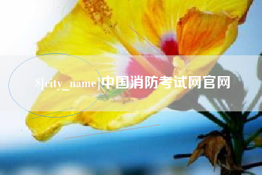 钟祥中国消防考试网官网