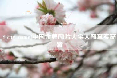 钟祥中国金牌图片大全大图真实高清