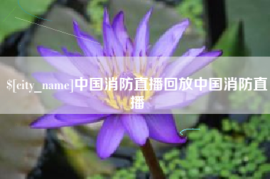 钟祥中国消防直播回放中国消防直播