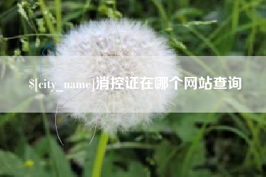 钟祥消控证在哪个网站查询