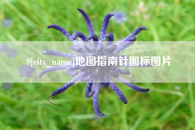 钟祥地图指南针图标图片