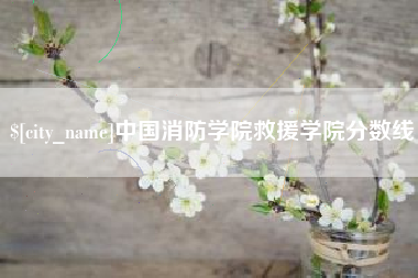 钟祥中国消防学院救援学院分数线
